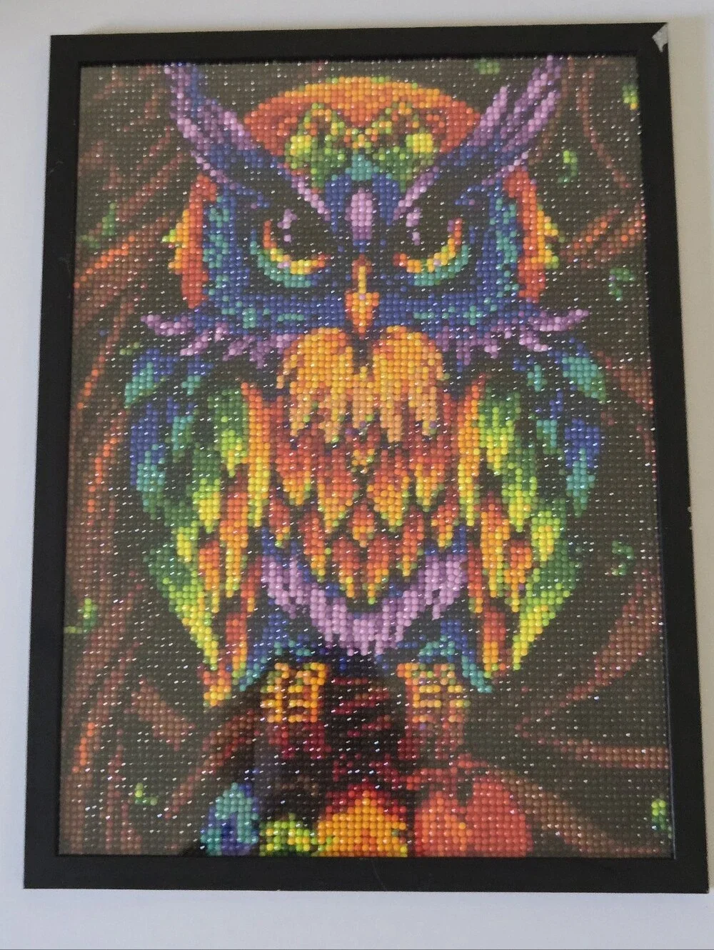 Diamond Painting Art.Vibrant Multicolor Owl Wall Art - Home Wall Decor